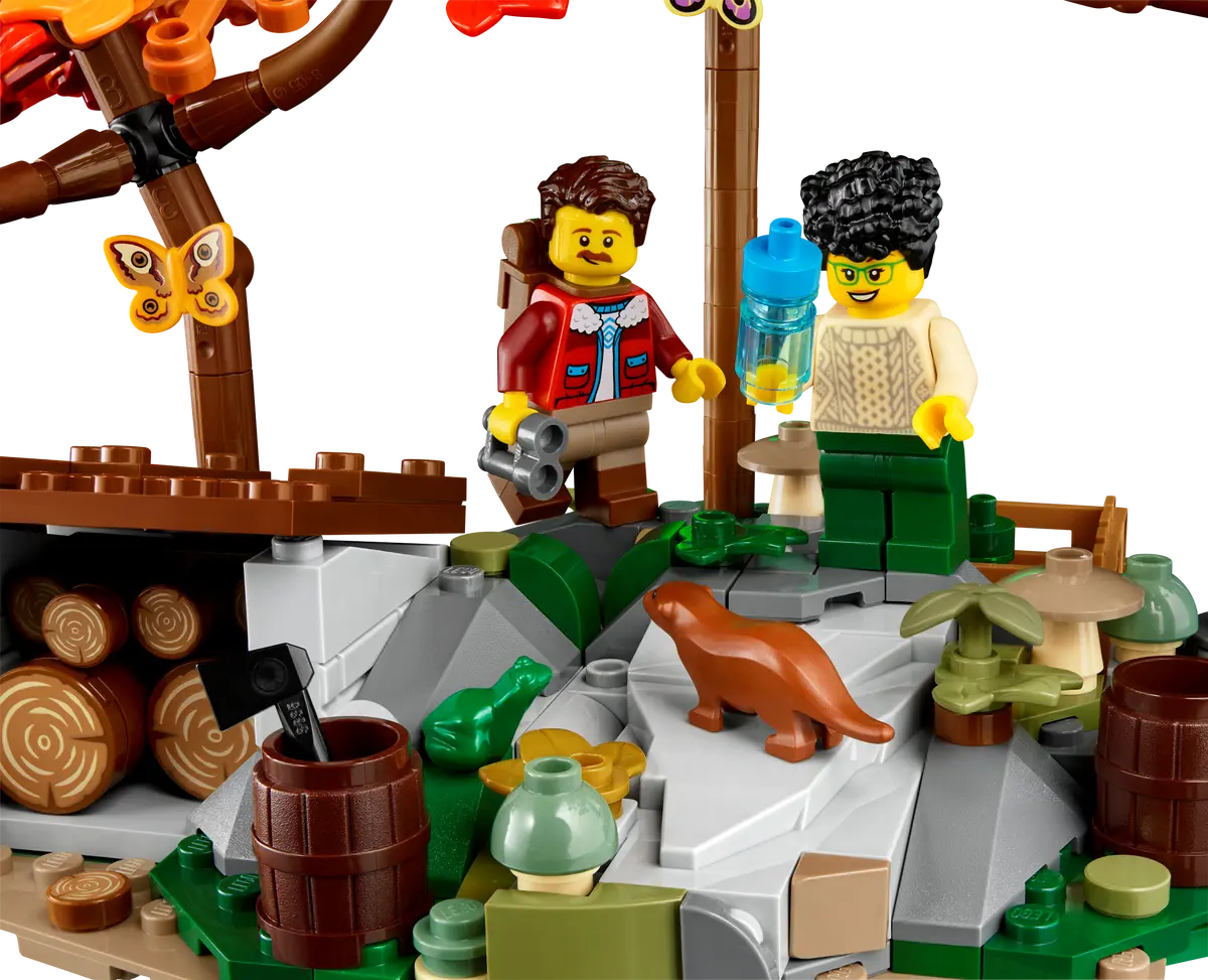 u21338 - A-Frame Cabin