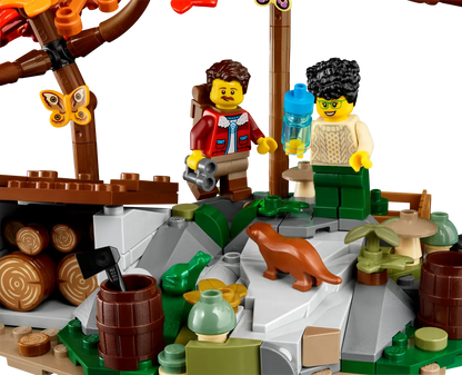 u21338 - A-Frame Cabin
