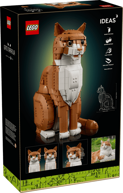 21376 - Orange Cat - ND