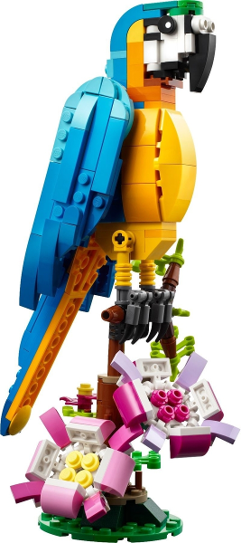 u31136 - Exotic Parrot