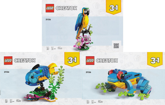 u31136 - Exotic Parrot