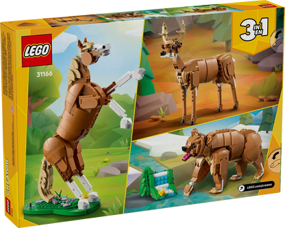 31166 - Beautiful Horse