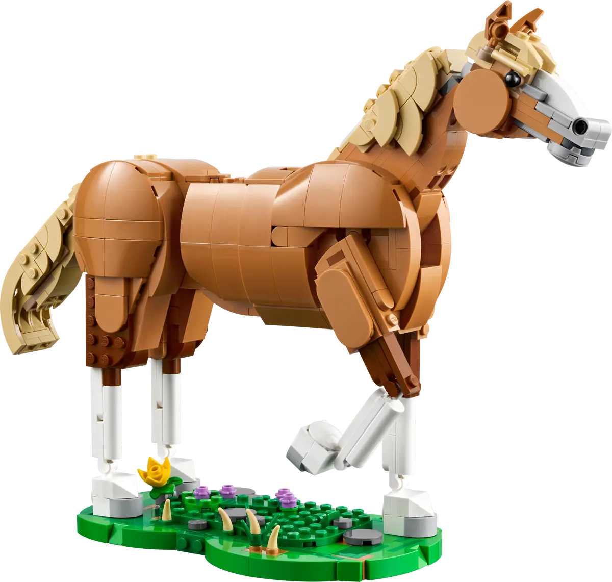 31166 - Beautiful Horse