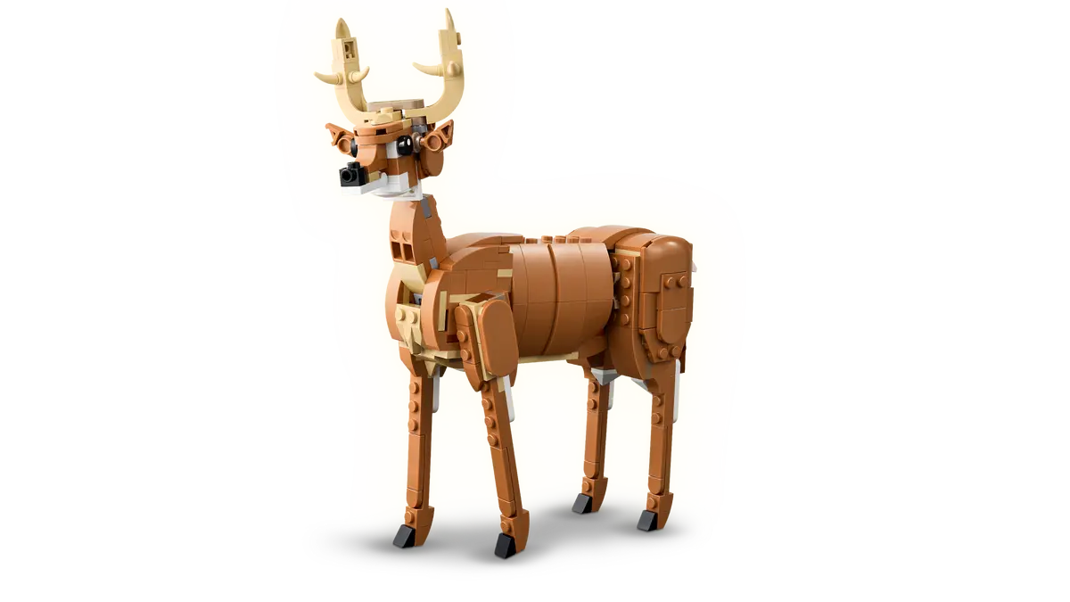 31166 - Beautiful Horse