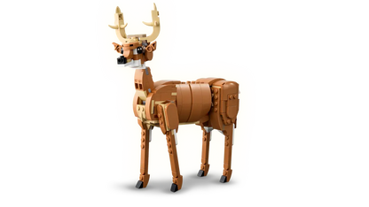 31166 - Beautiful Horse