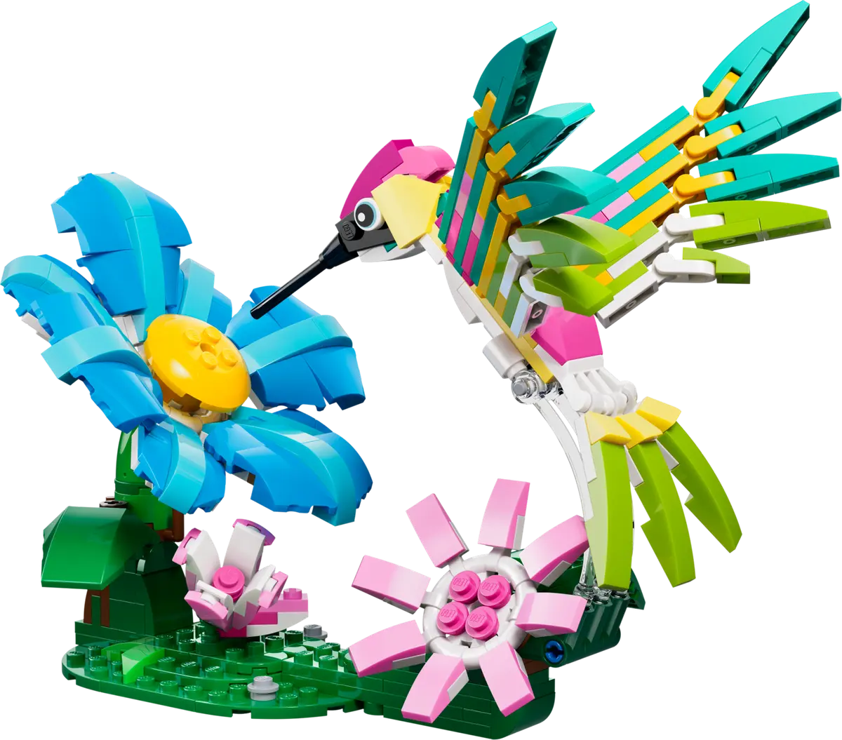 31384 - Colourful Hummingbird