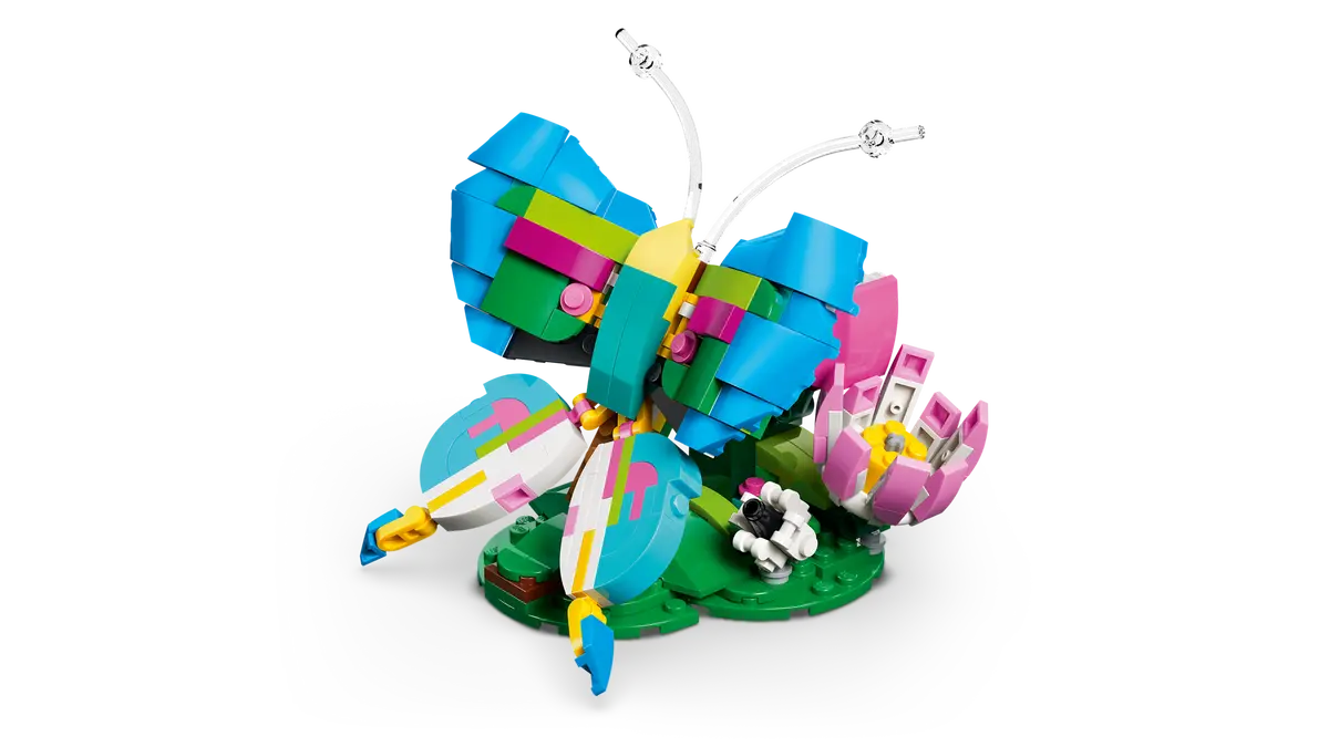 31384 - Colourful Hummingbird