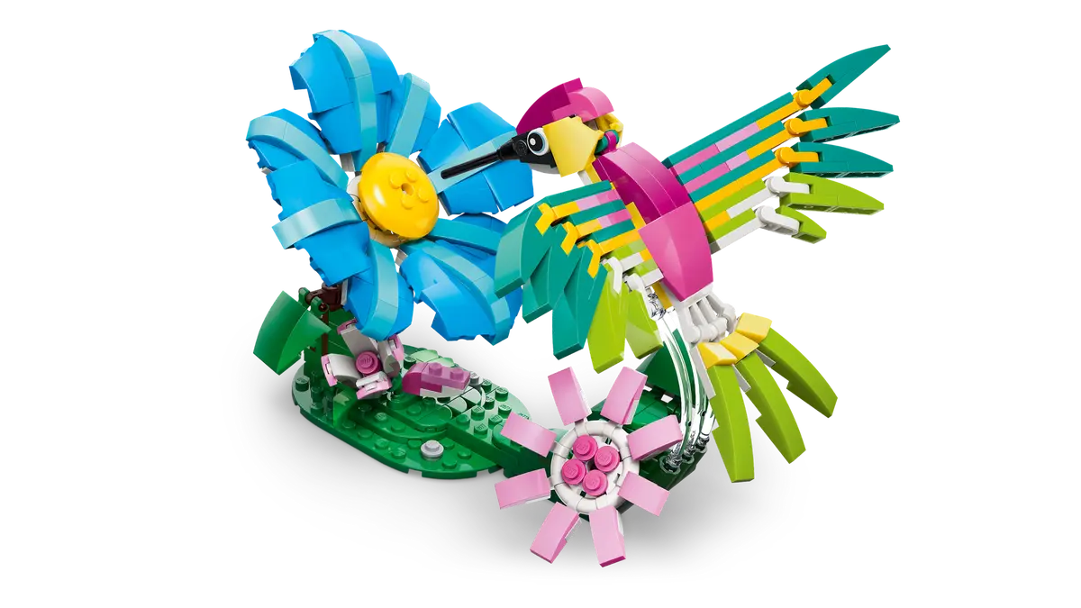31384 - Colourful Hummingbird