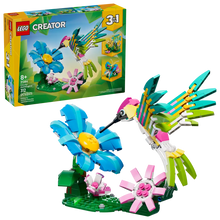 31384 - Colourful Hummingbird
