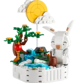 40643 - Jade Rabbit