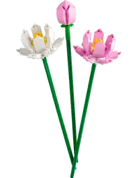 U40647 - Lotus Flowers (Pre-Built)