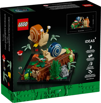 40788 - Friendly Snails - ND