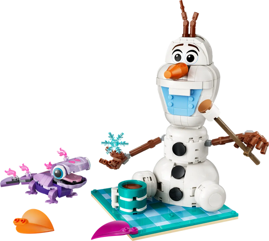 43287 - Olaf and Bruni’s Picnic Fun