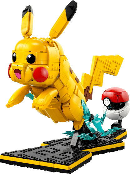 72152 - Pikachu and Poke Ball - ND