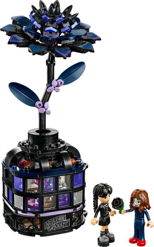76784 - Wednesday: Black Dahlia Flower - ND