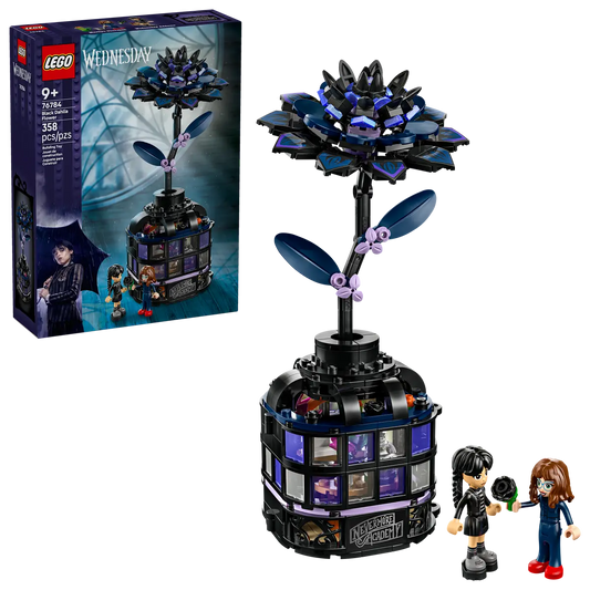 76784 - Wednesday: Black Dahlia Flower - ND