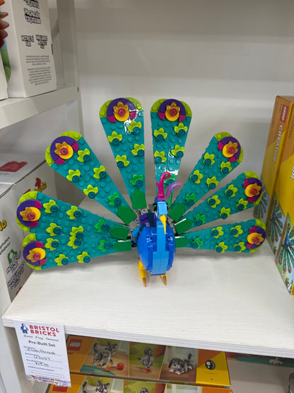 u31157 - Exotic Peacock
