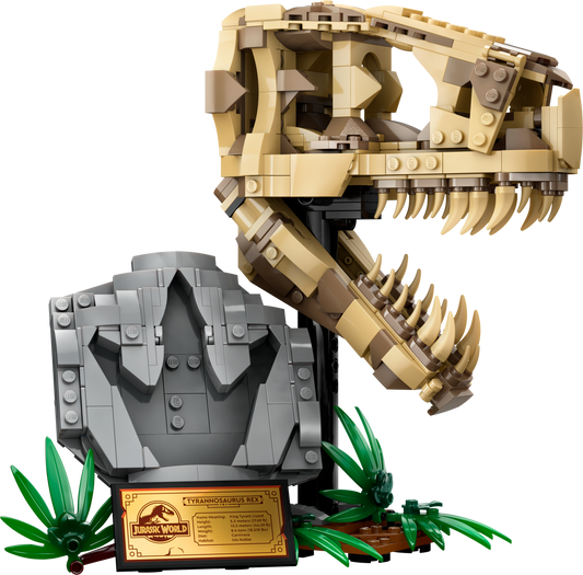 U76964 - Dinosaur Fossils: T. Rex Skull (Pre-Built)