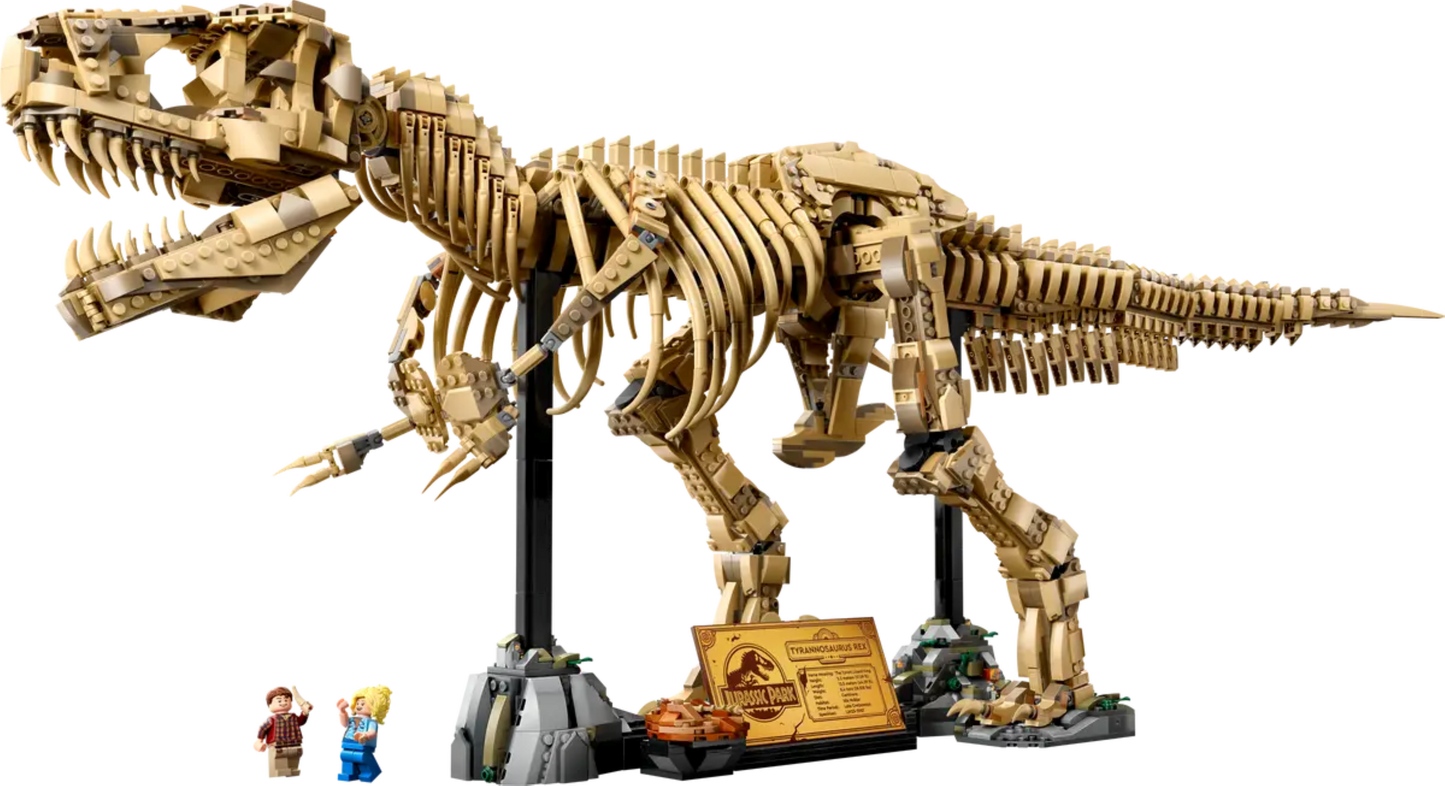76968 - Dinosaur Fossils: Tyrannosaurus Rex - ND