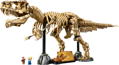 76968 - Dinosaur Fossils: Tyrannosaurus Rex - ND