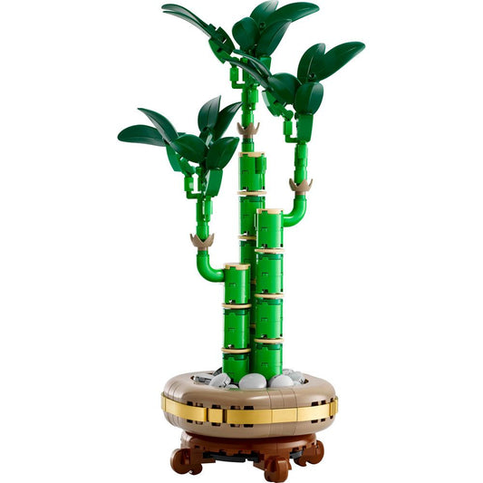 U10344 - Lucky Bamboo (Pre-Built)