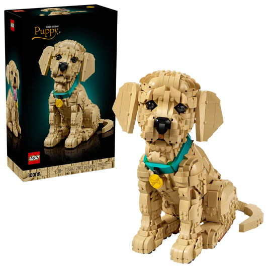 11384 - Golden Retriever Puppy - ND