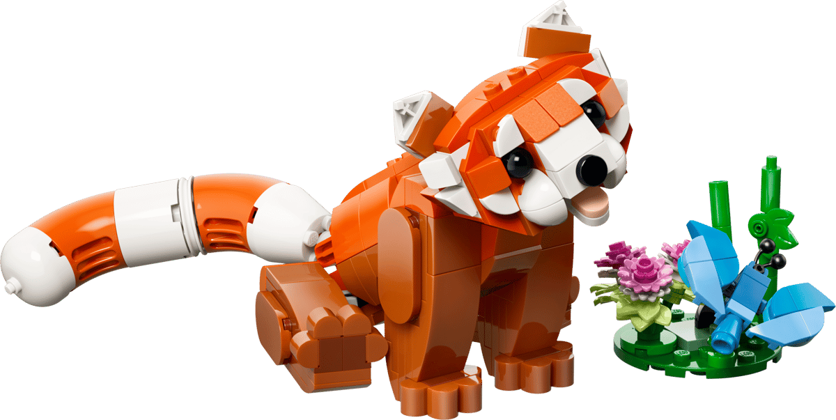 31394 - Cute Animals: Red Panda