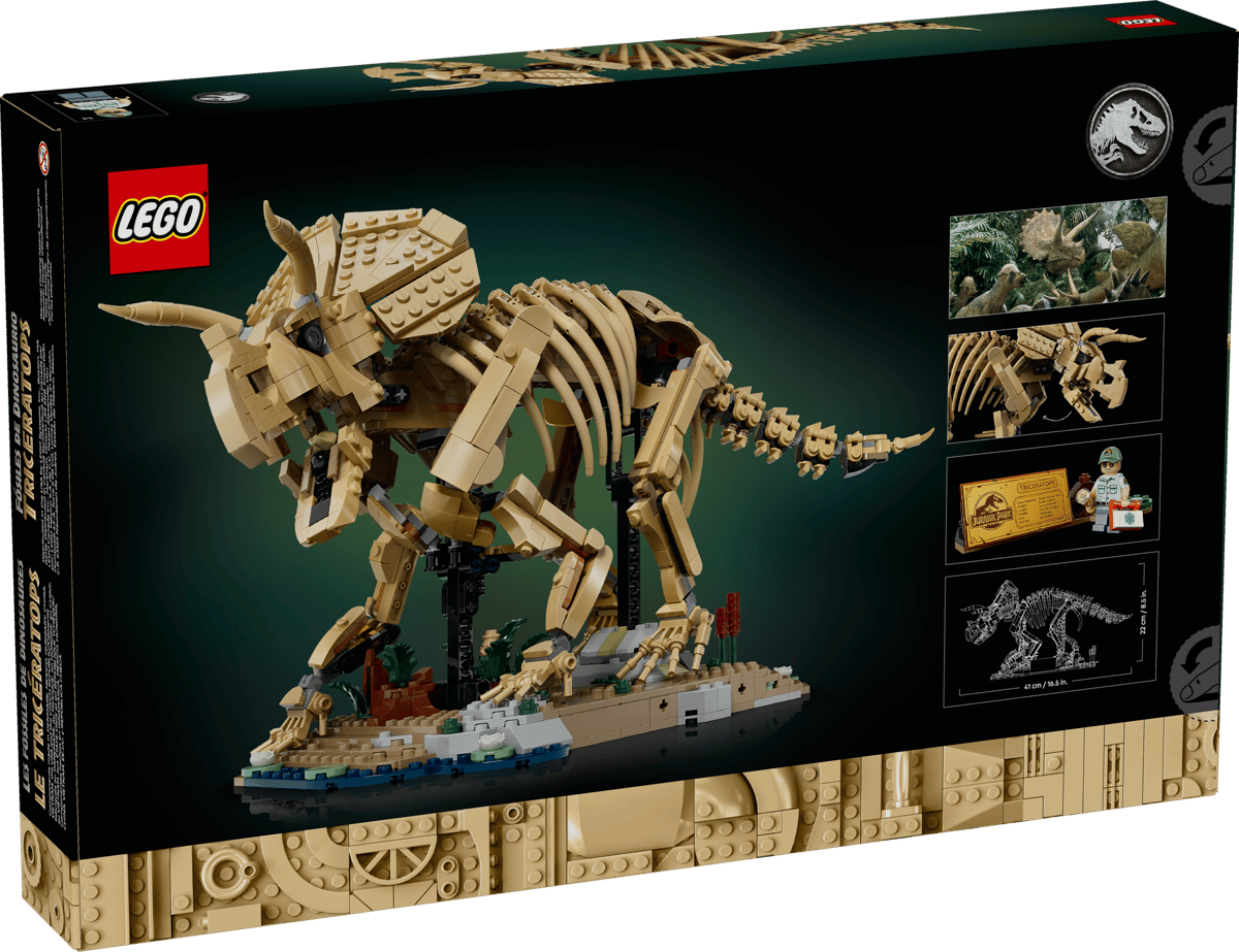 77985 - Dinosaur Fossils: Triceratops