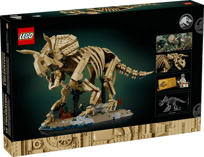 77985 - Dinosaur Fossils: Triceratops