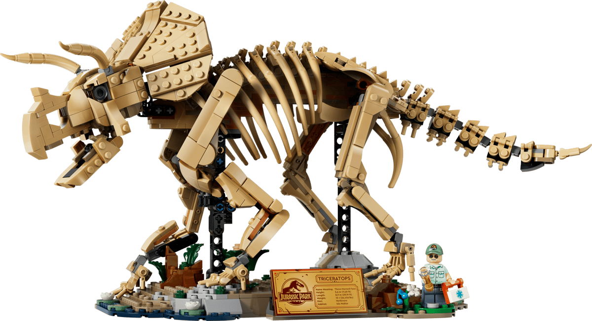 77985 - Dinosaur Fossils: Triceratops