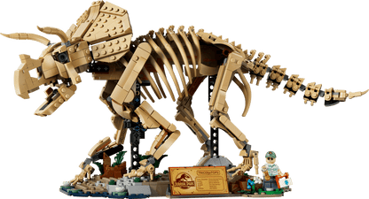 77985 - Dinosaur Fossils: Triceratops