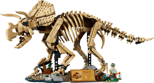 77985 - Dinosaur Fossils: Triceratops