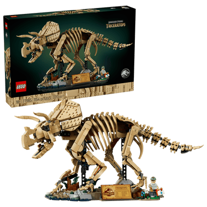 77985 - Dinosaur Fossils: Triceratops