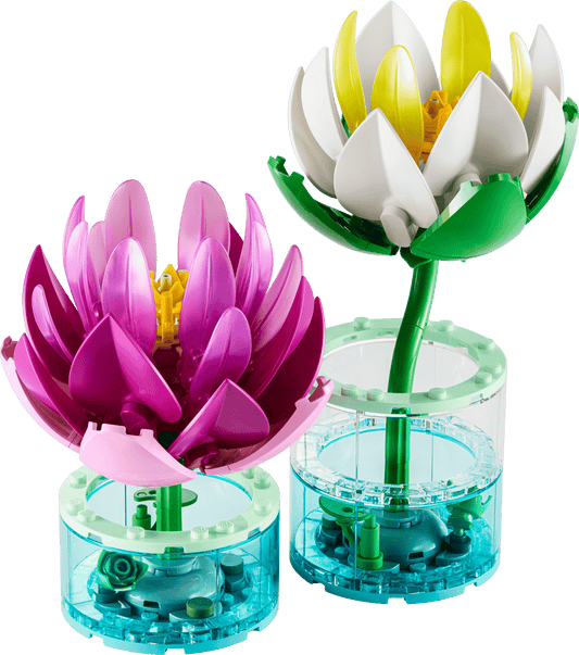 11511 - Water Lilies