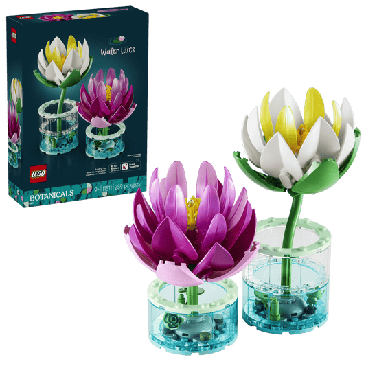 11511 - Water Lilies