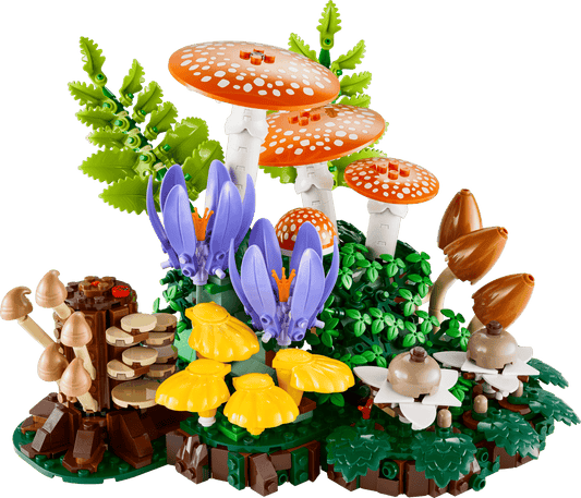 11505 - Woodland Mushrooms