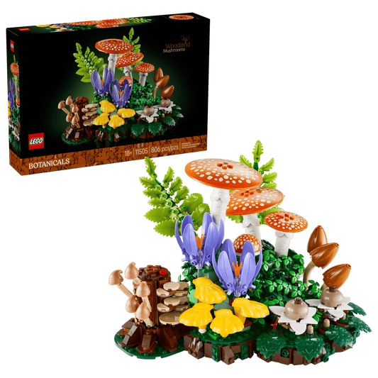 11505 - Woodland Mushrooms