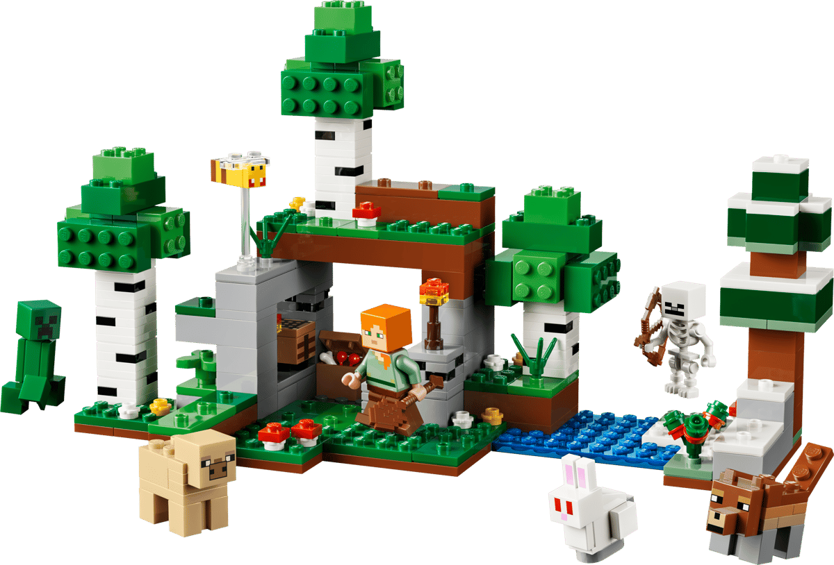 21593 - First Night Adventure