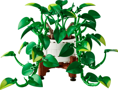11512 - Hanging Golden Pothos