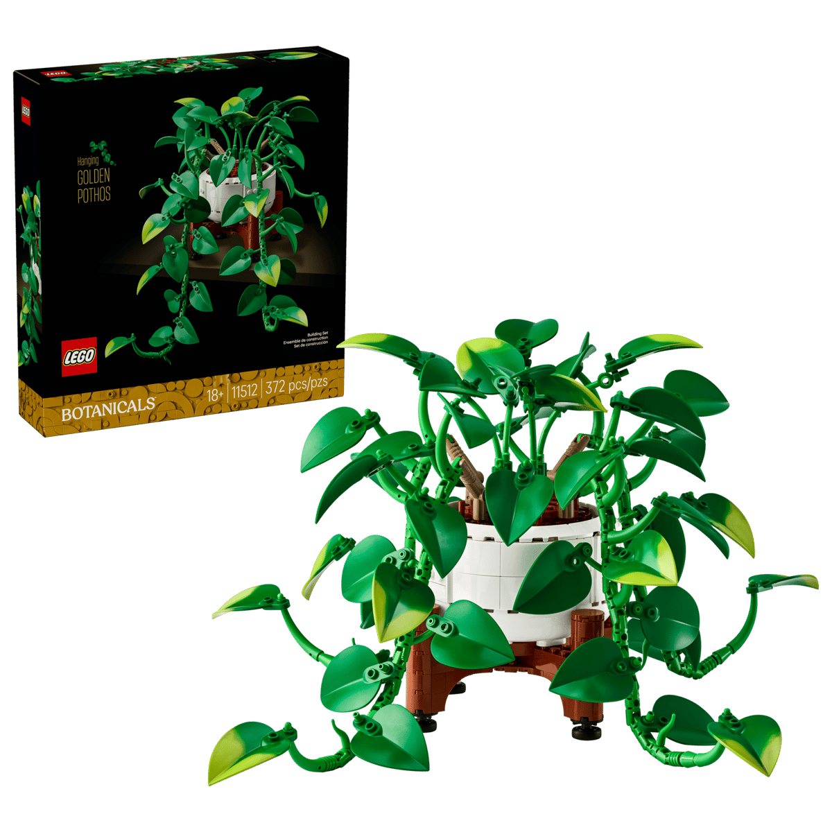 11512 - Hanging Golden Pothos