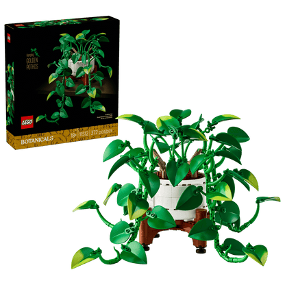 11512 - Hanging Golden Pothos