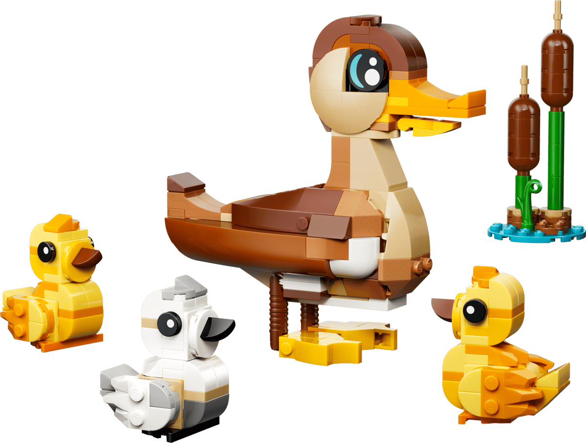 40885 - Duck Family - ND