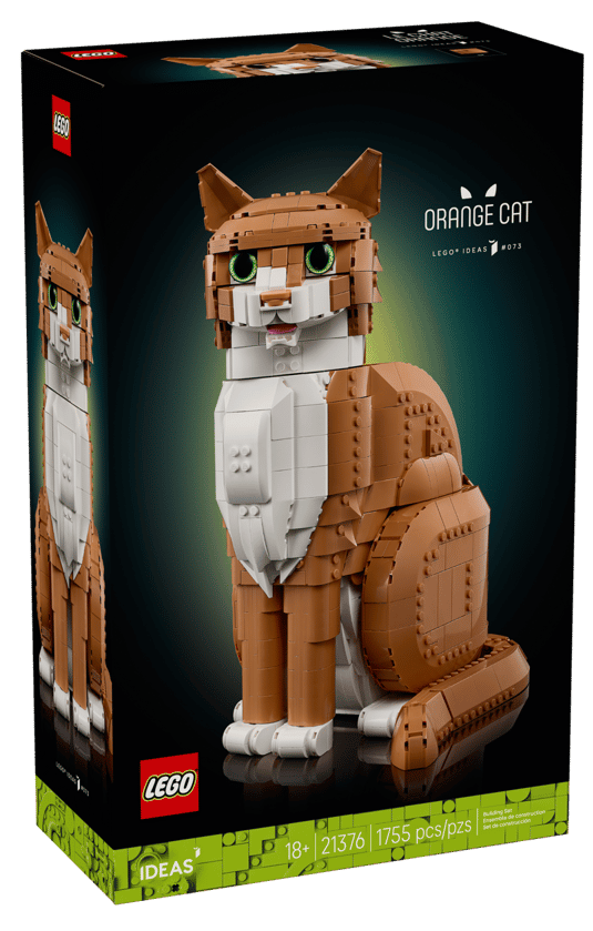 21376 - Orange Cat - ND