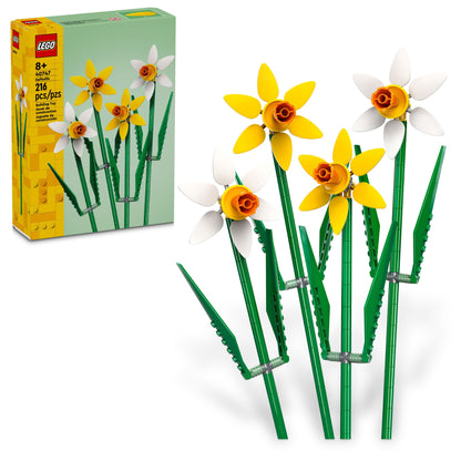 40747 - Daffodils