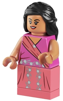 hp260 - Padma Patil - Dark Pink and Coral Sari