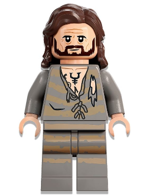hp345 - Sirius Black - Dark Brown Hair, Light Bluish Gray Tattered Striped Shirt