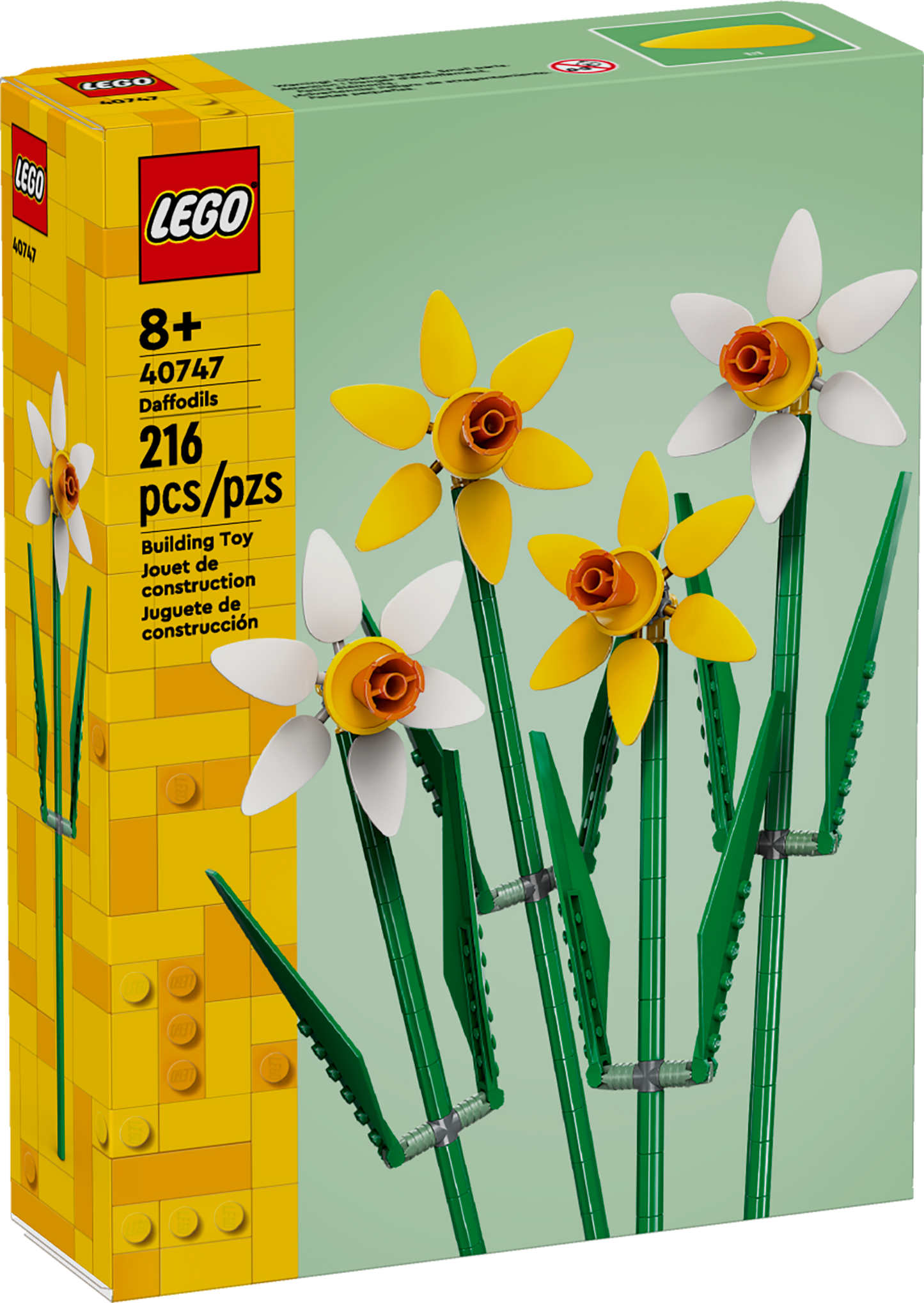 40747 - Daffodils