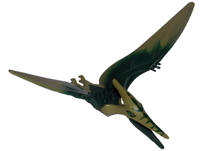ptera03 - Dinosaur Pteranodon with 4 Studs with Dark Green Back