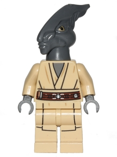 sw0480 - Coleman Trebor