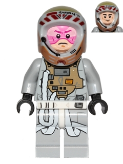 sw0558 - Gray Squadron Pilot (Horton Salm)